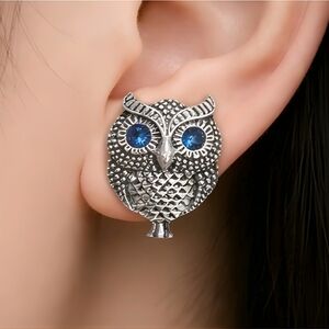 Silver Tone Owl Earrings with Blue Sapphire Rhinestone Eyes